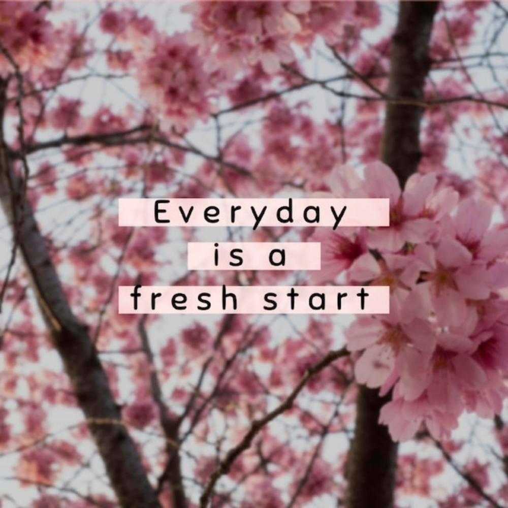 Meet your Posher, 💎